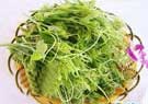 五指山野菜